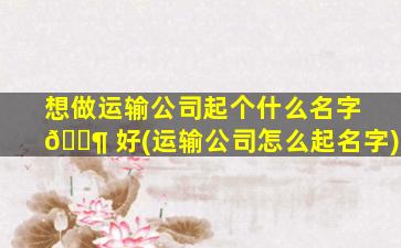 想做运输公司起个什么名字 🐶 好(运输公司怎么起名字)